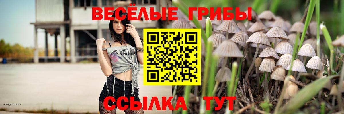 Зерноград  Галлюциногенные грибы Cubensis  Псилоцибиновые грибы ЛСД  где купить наркотик  Вход с VPN 